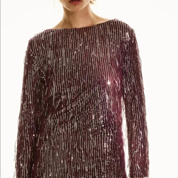 NWT Zara Fringe Sequin Mini Dress, Burgundy - Picture 4 of 5